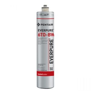 Everpure filter 6TO-BW EV960741